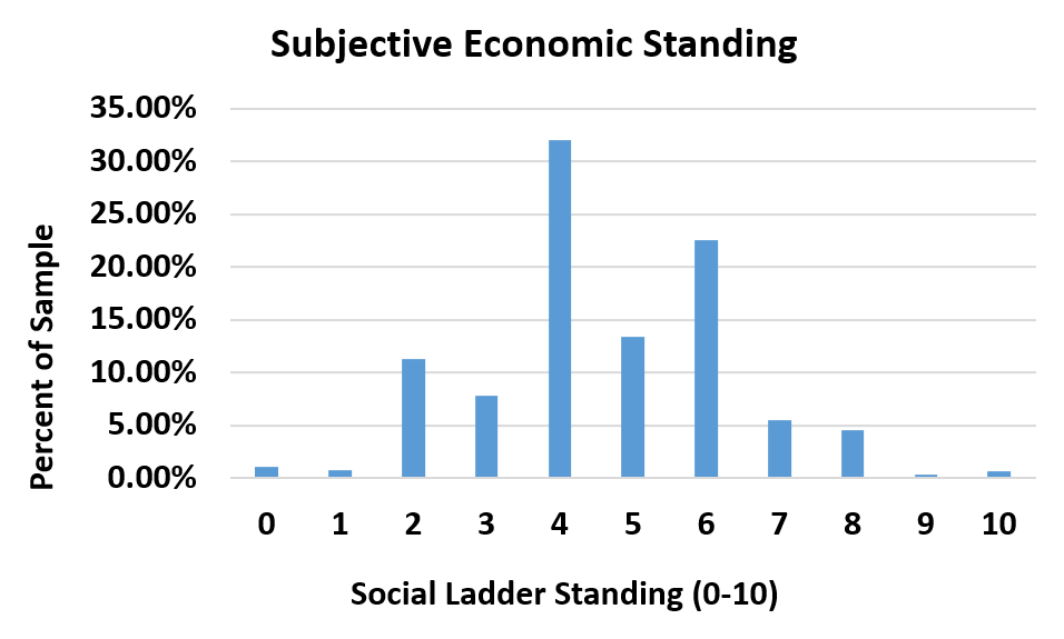 Subjective economic standing